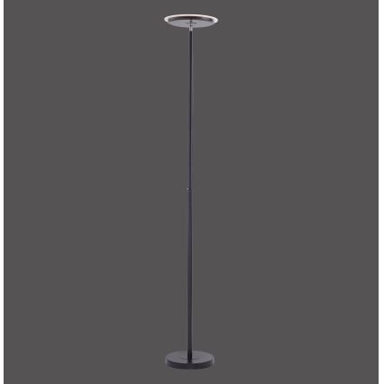 Leuchten Direkt 11729-18 - LED Торшер з регулюванням яскравості HANS LED/22W/230V