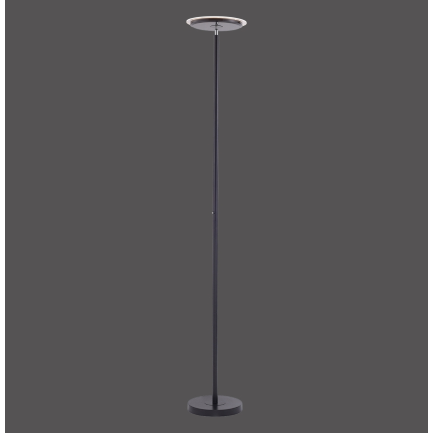 Leuchten Direkt 11729-18 - LED Торшер з регулюванням яскравості HANS LED/22W/230V