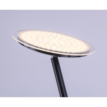 Leuchten Direkt 11729-18 - Светодиодный торшер с регулированием яркости HANS LED/22W/230V