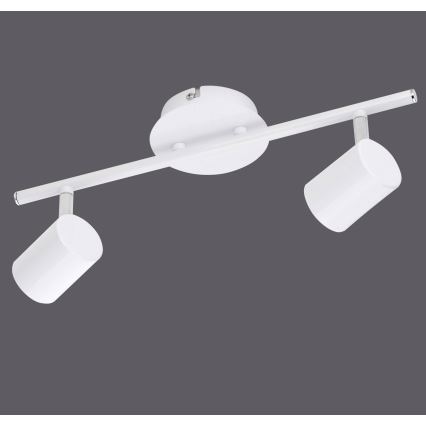 Leuchten Direkt 11942-16 - Точковий LED світильник TARIK 2xGU10/5W/230V білий