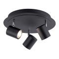 Leuchten Direkt 11943-13 - Точковий LED світильник TARIK 3xGU10/5W/230V антрацит