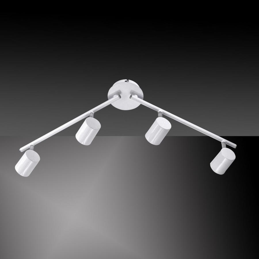 Leuchten Direkt 11944-16 - Точковий LED світильник TARIK 4xGU10/5W/230V білий