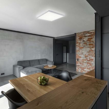 Leuchten Direkt 12200-16 - Стельовий LED світильник FLAT LED/17W/230V