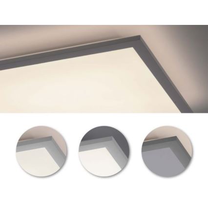 Leuchten Direkt 12204-16 - Светодиодная поверхностно-монтируемая панель FLAT LED/24W/230V