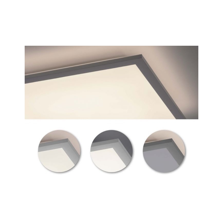 Leuchten Direkt 12204-16 - Светодиодная поверхностно-монтируемая панель FLAT LED/24W/230V