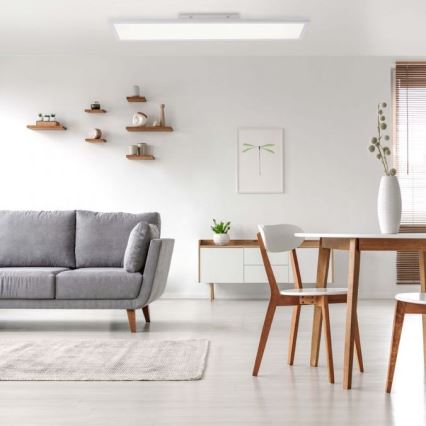 Leuchten Direkt 12204-16 - Светодиодная поверхностно-монтируемая панель FLAT LED/24W/230V