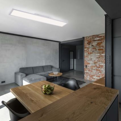 Leuchten Direkt 12204-16 - Светодиодная поверхностно-монтируемая панель FLAT LED/24W/230V