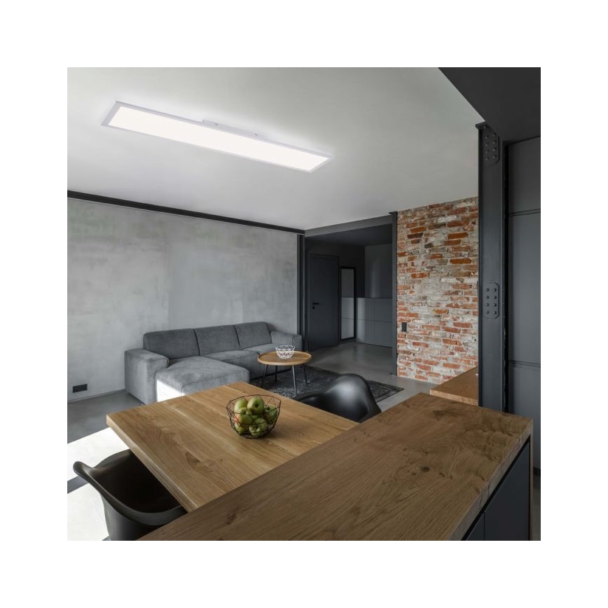 Leuchten Direkt 12204-16 - Светодиодная поверхностно-монтируемая панель FLAT LED/24W/230V