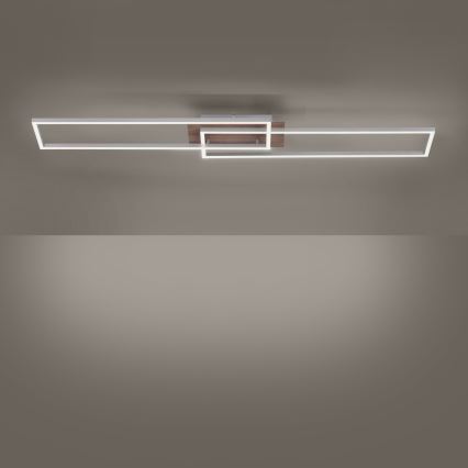 Leuchten Direkt 14019-78 - LED Димерний стельовий світильник IVEN 2xLED/20W/230V + дистанційне управління