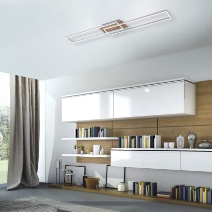 Leuchten Direkt 14019-78 - LED Димерний стельовий світильник IVEN 2xLED/20W/230V + дистанційне управління