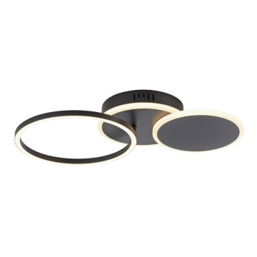 Leuchten Direkt 14116-18 - Светодиодный потолочный светильник SEVENT LED/25,5W/230V черный