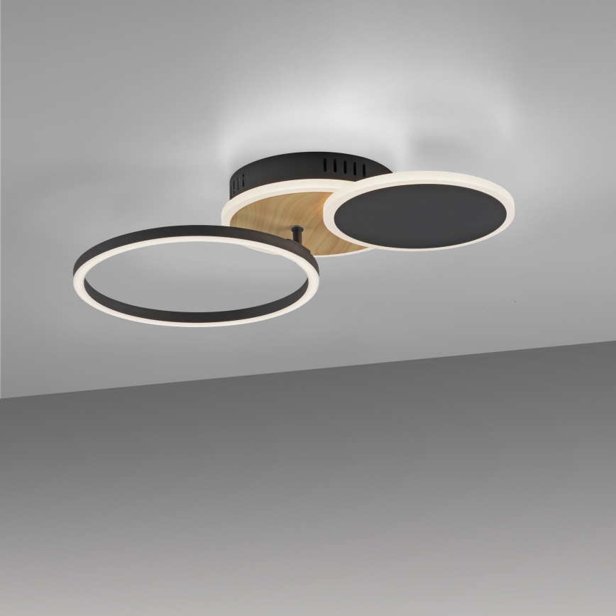 Leuchten Direkt 14116-78 - Стельовий LED світильник SEVENT LED/25,5W/230V чорний/коричневий