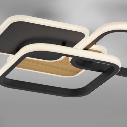 Leuchten Direkt 14117-78 - Светодиодный потолочный светильник SEVENT LED/36W/230V черный/коричневый