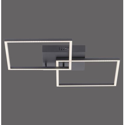 Leuchten Direkt 14141-18 - LED Димерний стельовий світильник IVEN 2xLED/13,5W/230V + дистанційне управління