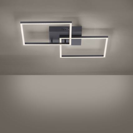 Leuchten Direkt 14141-18 - LED Димерний стельовий світильник IVEN 2xLED/13,5W/230V + дистанційне управління