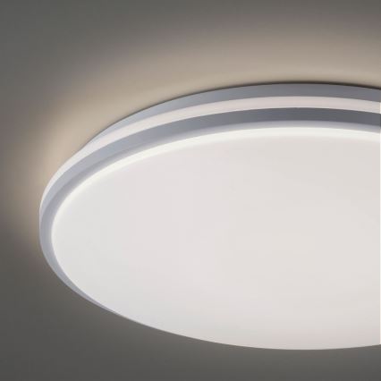 Leuchten Direkt 14209-16 - Стельовий LED світильник з регулюванням яскравості COLIN LED/32,4W/230V