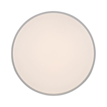 Leuchten Direkt 14209-16 - Стельовий LED світильник з регулюванням яскравості COLIN LED/32,4W/230V