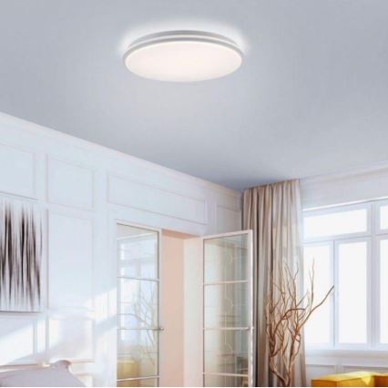 Leuchten Direkt 14209-16 - Светодиодный диммируемый потолочный светильник COLIN LED/32,4W/230V