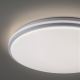 Leuchten Direkt 14209-16 - Светодиодный диммируемый потолочный светильник COLIN LED/32,4W/230V