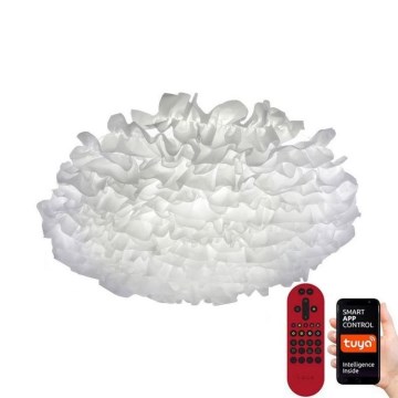 Leuchten Direkt 14281-16 - Светодиодный диммируемый потолочный RGB-светильник NAOMI LED/51,8W/230V Tuya + пульт ДУ