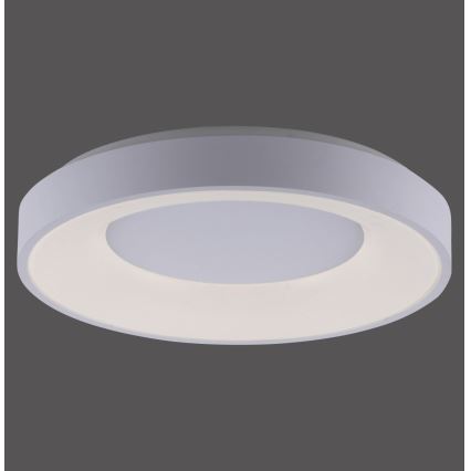 Leuchten Direkt 14326-16 - LED Димерний стельовий світильник ANIKA LED/30W/230V + дистанційне управління