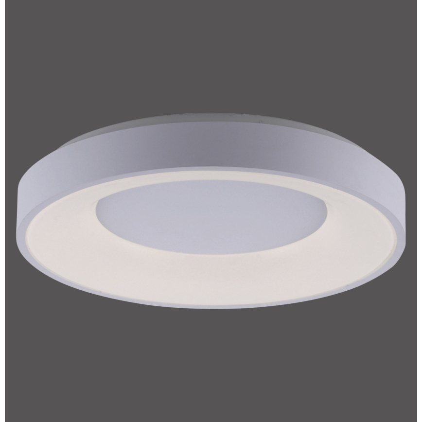 Leuchten Direkt 14326-16 - LED Димерний стельовий світильник ANIKA LED/30W/230V + дистанційне управління