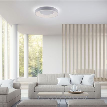 Leuchten Direkt 14326-16 - LED Димерний стельовий світильник ANIKA LED/30W/230V + дистанційне управління