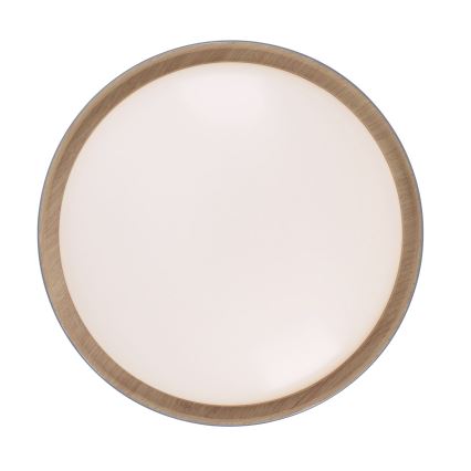 Leuchten Direkt 14347-15 - Светодиодный регулируемый потолочный светильник EMILIA LED/28,8W/230V серый