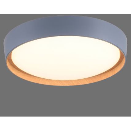 Leuchten Direkt 14347-15 - Светодиодный регулируемый потолочный светильник EMILIA LED/28,8W/230V серый
