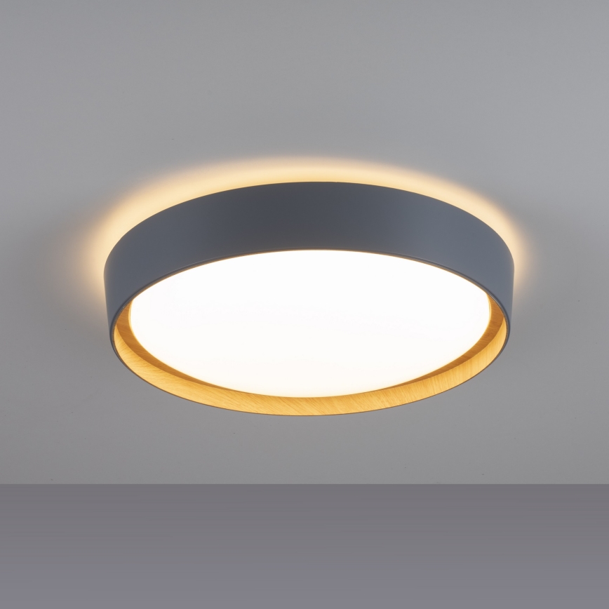 Leuchten Direkt 14347-15 - Стельовий LED світильник з регулюванням яскравості EMILIA LED/28,8W/230V сірий