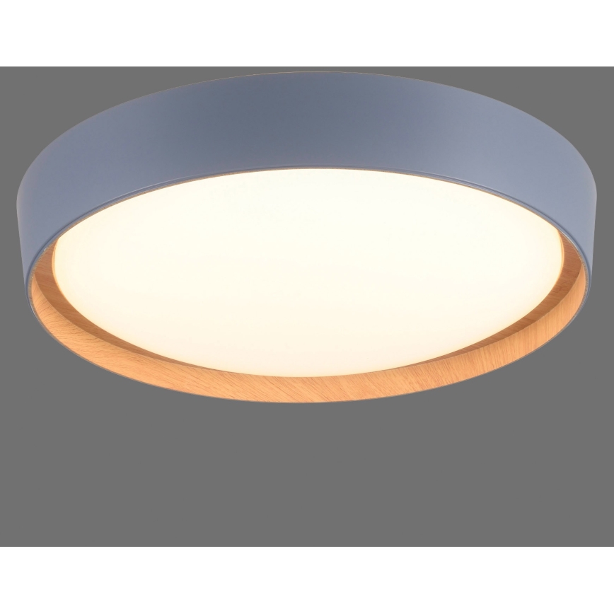Leuchten Direkt 14347-15 - Стельовий LED світильник з регулюванням яскравості EMILIA LED/28,8W/230V сірий