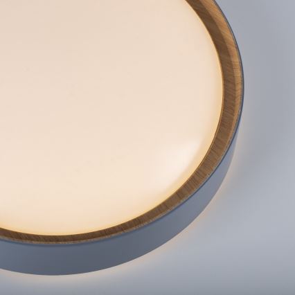 Leuchten Direkt 14347-15 - Стельовий LED світильник з регулюванням яскравості EMILIA LED/28,8W/230V сірий