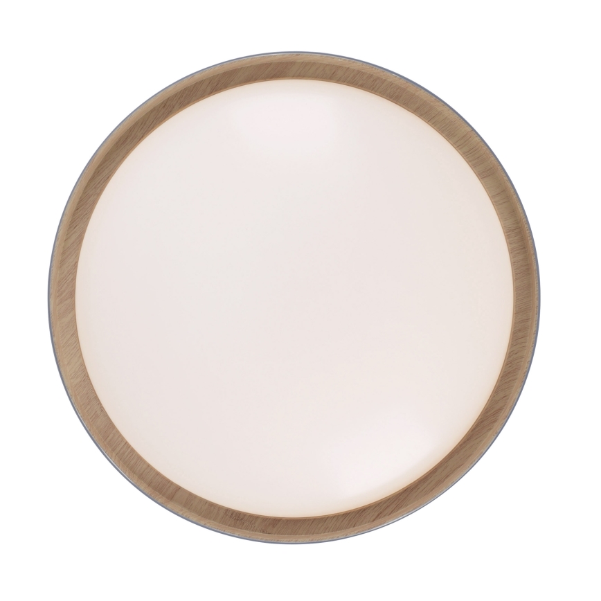 Leuchten Direkt 14347-15 - Стельовий LED світильник з регулюванням яскравості EMILIA LED/28,8W/230V сірий