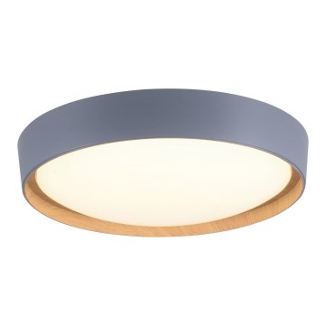 Leuchten Direkt 14347-15 - Стельовий LED світильник з регулюванням яскравості EMILIA LED/28,8W/230V сірий
