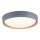Leuchten Direkt 14347-15 - Стельовий LED світильник з регулюванням яскравості EMILIA LED/28,8W/230V сірий