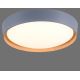 Leuchten Direkt 14347-15 - Светодиодный потолочный светильник с регулированием яркости EMILIA LED/28,8W/230V серый