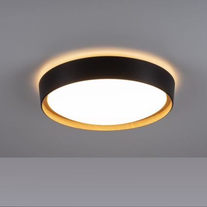 Leuchten Direkt 14347-18 - LED Світильник з регулюванням яскравості EMILIA LED/28,8W/230V чорний