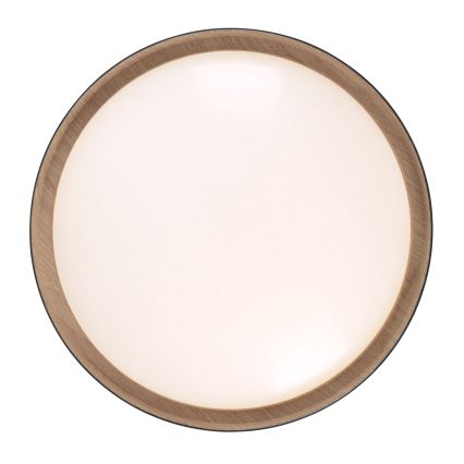 Leuchten Direkt 14347-18 - LED Світильник з регулюванням яскравості EMILIA LED/28,8W/230V чорний