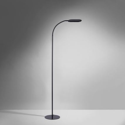 Leuchten Direkt 14406-18 - Сенсорний LED торшер з регулюванням яскравості KELLY LED/7W/230V 3000/4000/6000K