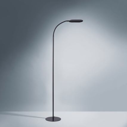 Leuchten Direkt 14406-18 - Сенсорний LED торшер з регулюванням яскравості KELLY LED/7W/230V 3000/4000/6000K