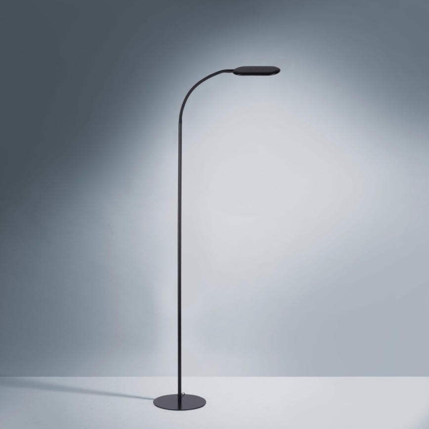 Leuchten Direkt 14406-18 - Сенсорний LED торшер з регулюванням яскравості KELLY LED/7W/230V 3000/4000/6000K