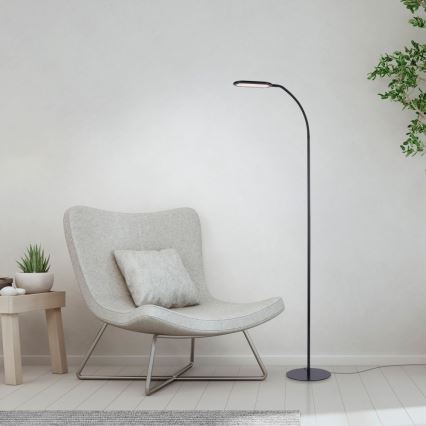 Leuchten Direkt 14406-18 - Светодиодный сенсорный торшер с регулированием яркости KELLY LED/7W/230V 3000/4000/6000K
