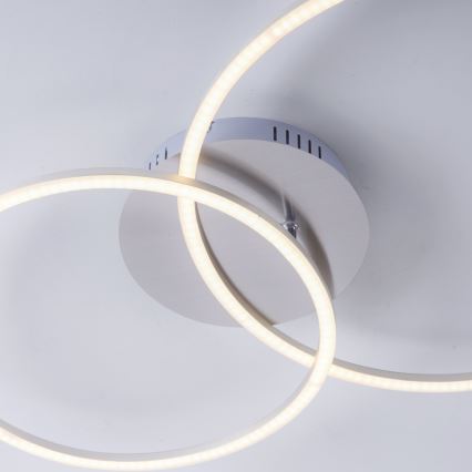 Leuchten Direkt 14537-55 - LED Світильник з регулюванням яскравості IVANKA LED/14W/230V + LED/12W