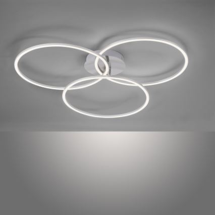 Leuchten Direkt 14539-55 - Стельовий LED світильник з регулюванням яскравості IVANKA 3xLED/12W/230V