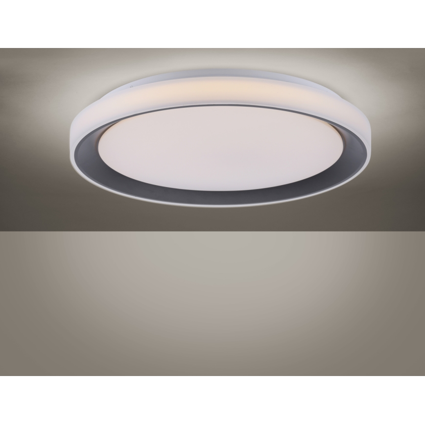 Leuchten Direkt 14659-18 - Светодиодный потолочный RGB-светильник с регулированием яркости LOLA LED/24W/230V Tuya + дистанционное управление