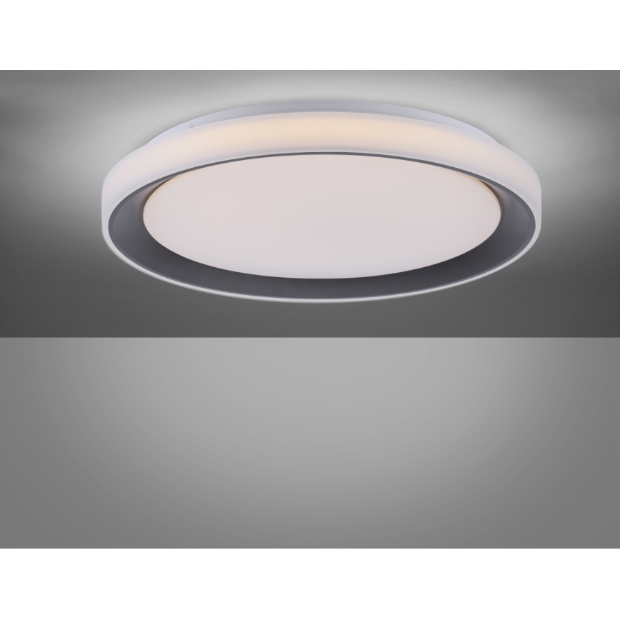 Leuchten Direkt 14659-18 - Светодиодный потолочный RGB-светильник с регулированием яркости LOLA LED/24W/230V Tuya + дистанционное управление