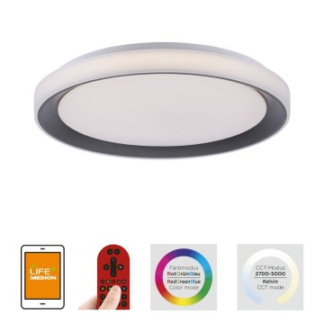 Leuchten Direkt 14659-18 - Светодиодный диммируемый светильник RGB LOLA LED/24W/230V + ДУ