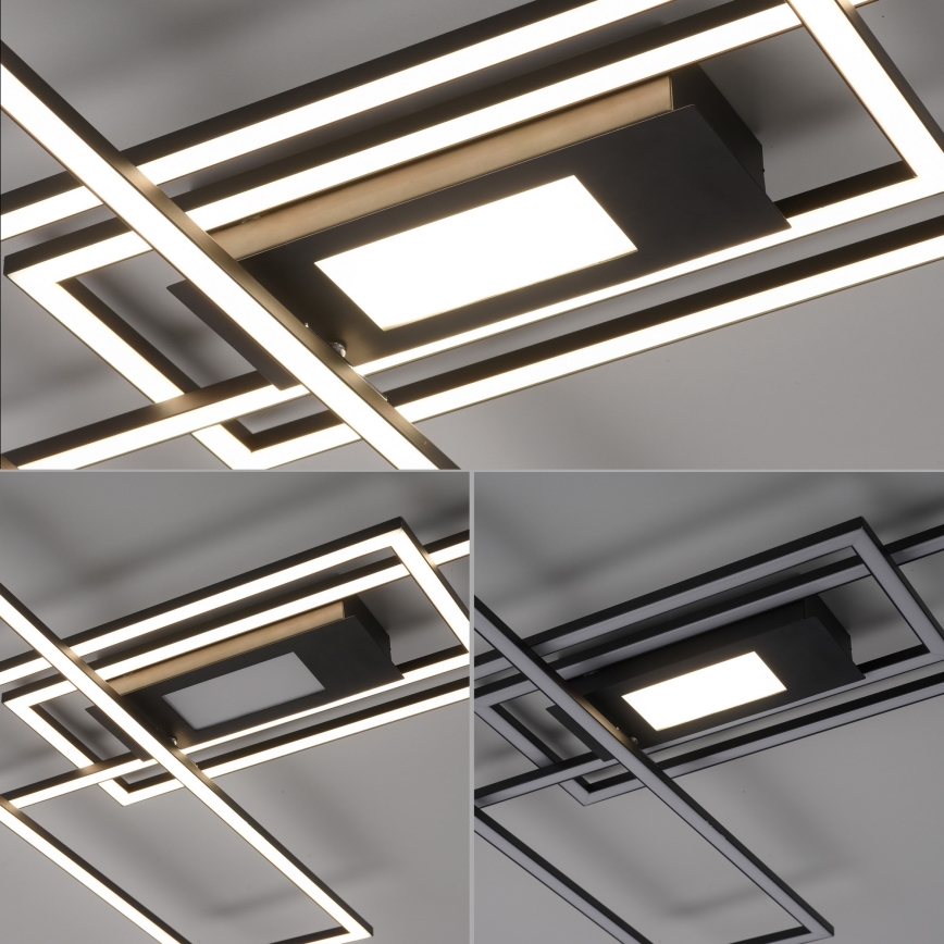 Leuchten Direkt 14693-18 - Стельовий LED світильник з регулюванням яскравості ASMIN LED/48W/230V