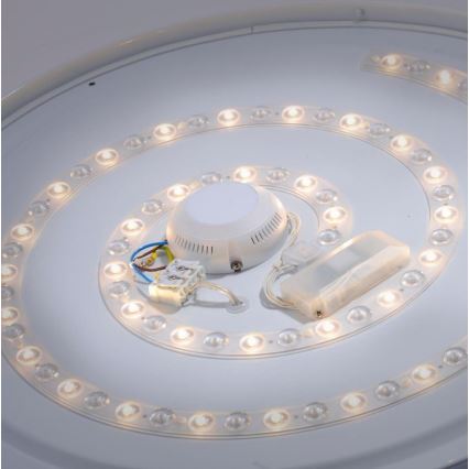 Leuchten Direkt 14822-17 - Стельовий LED світильник для ванної з датчиком LAVINIA LED/40W/230V IP44