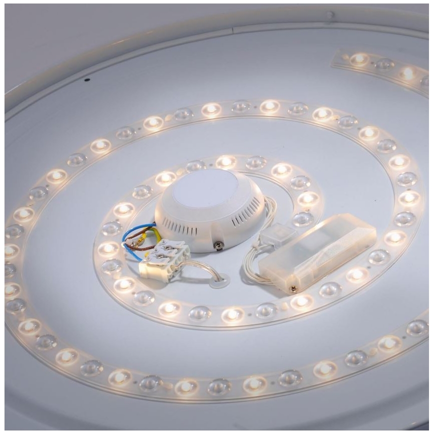 Leuchten Direkt 14822-17 - Стельовий LED світильник для ванної з датчиком LAVINIA LED/40W/230V IP44